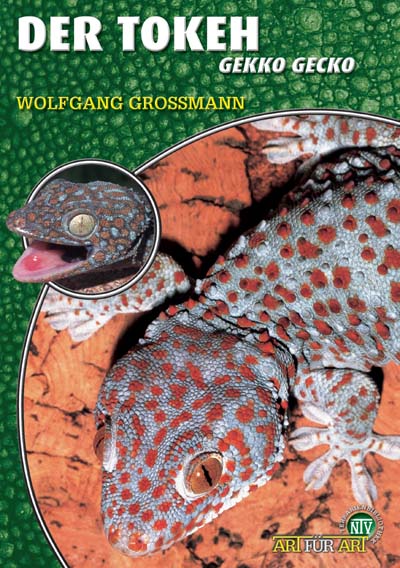 Der Tokeh - Gekko gecko (Wolfgang Grossmann)
