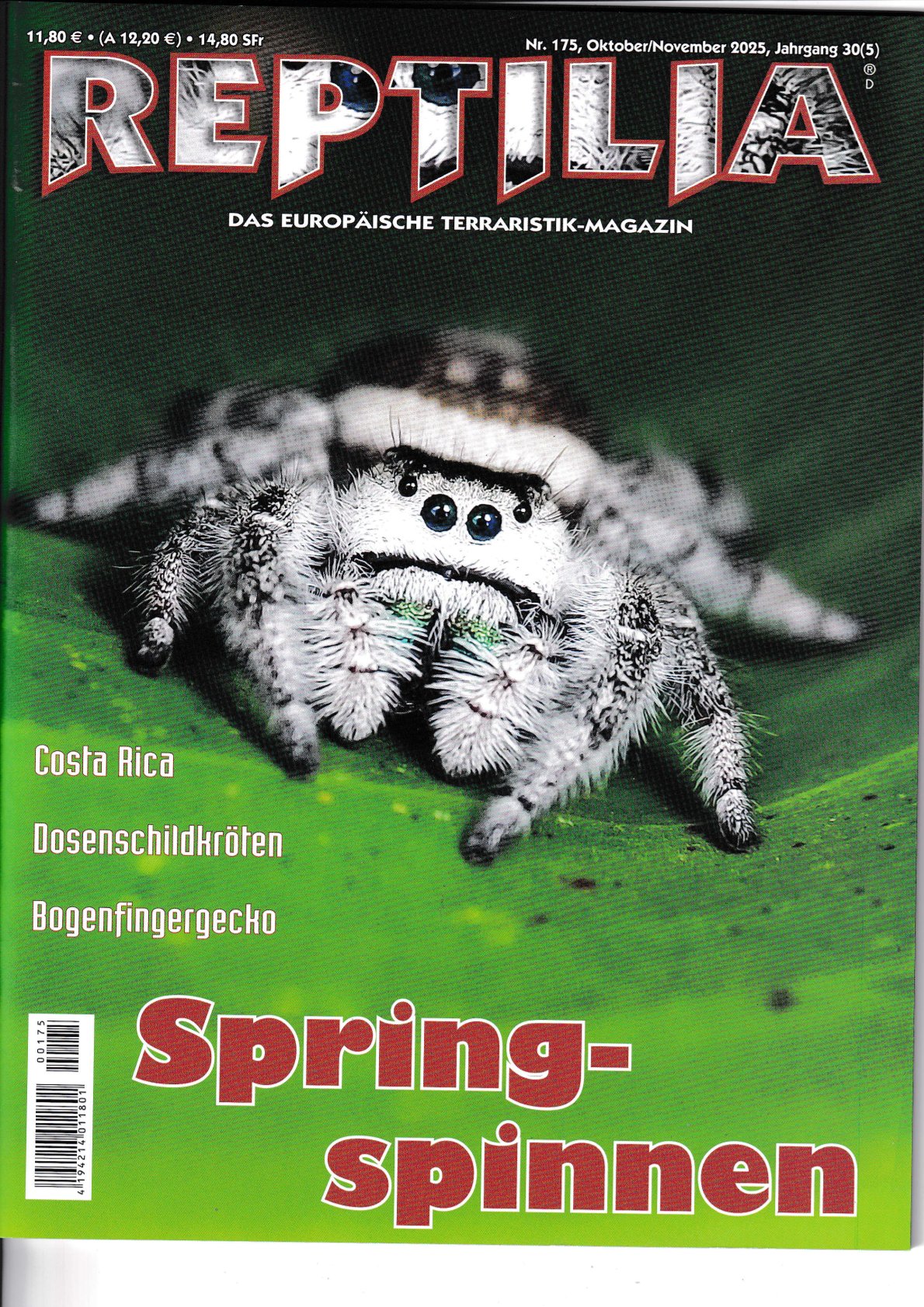 Reptilia Nr.175 Oktober / November 2025 (Springspinnen)