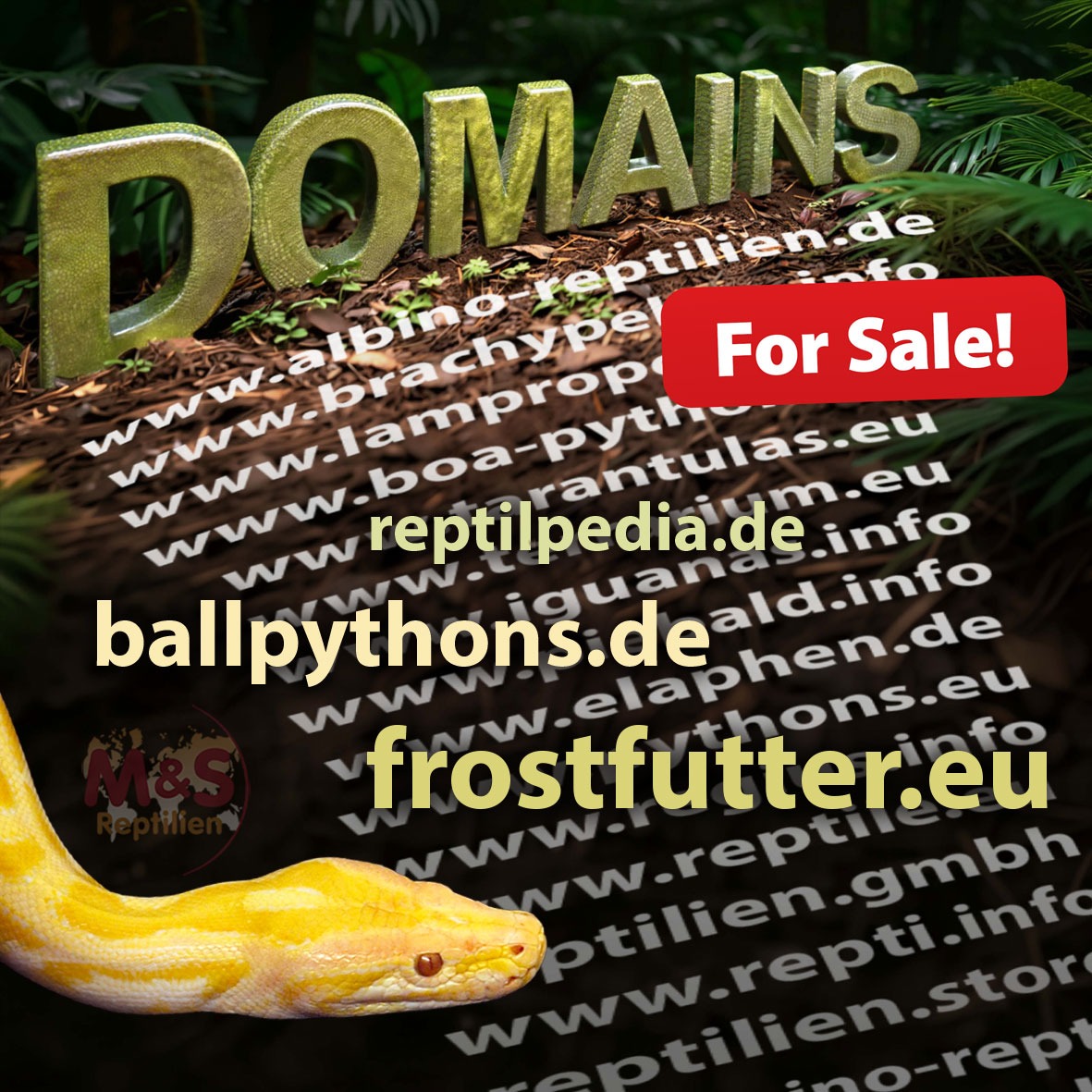 Domain Angebot