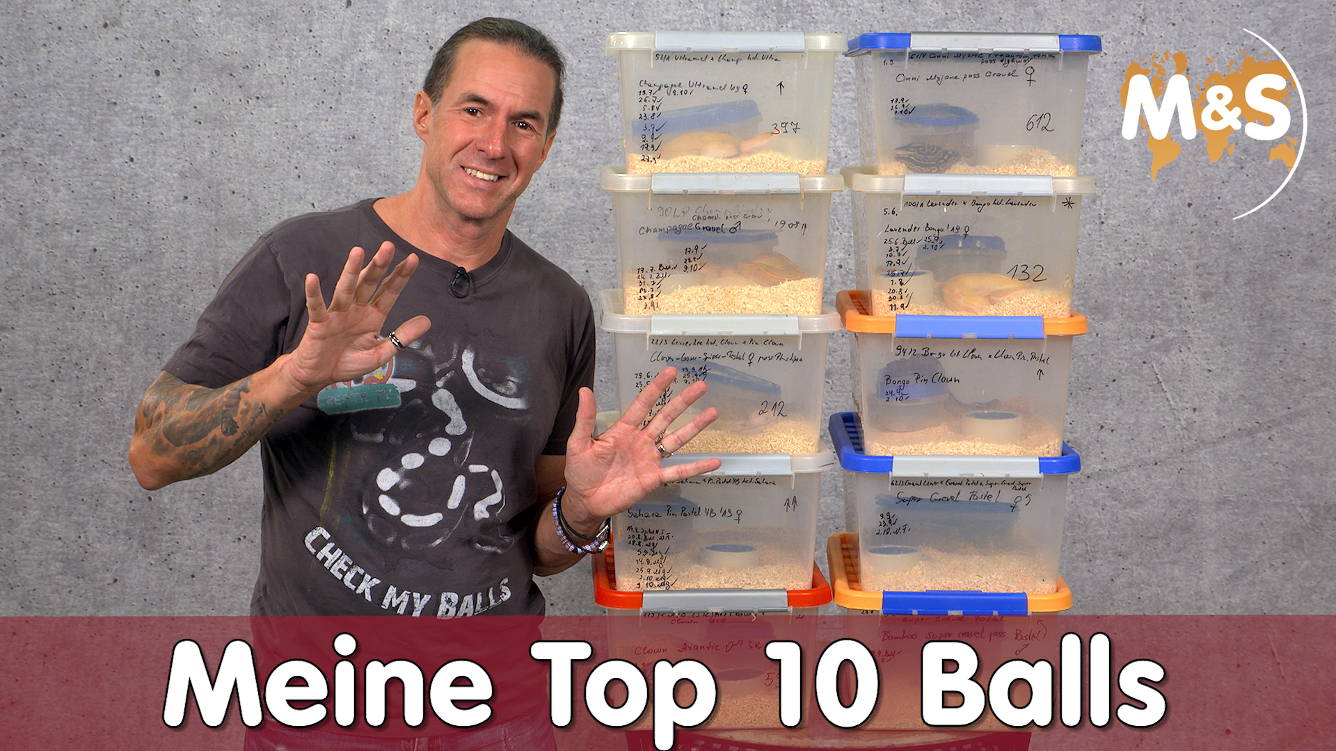 Meine Top 10 Balls im Jahr 2019! | Brutraum News | Reptil TV