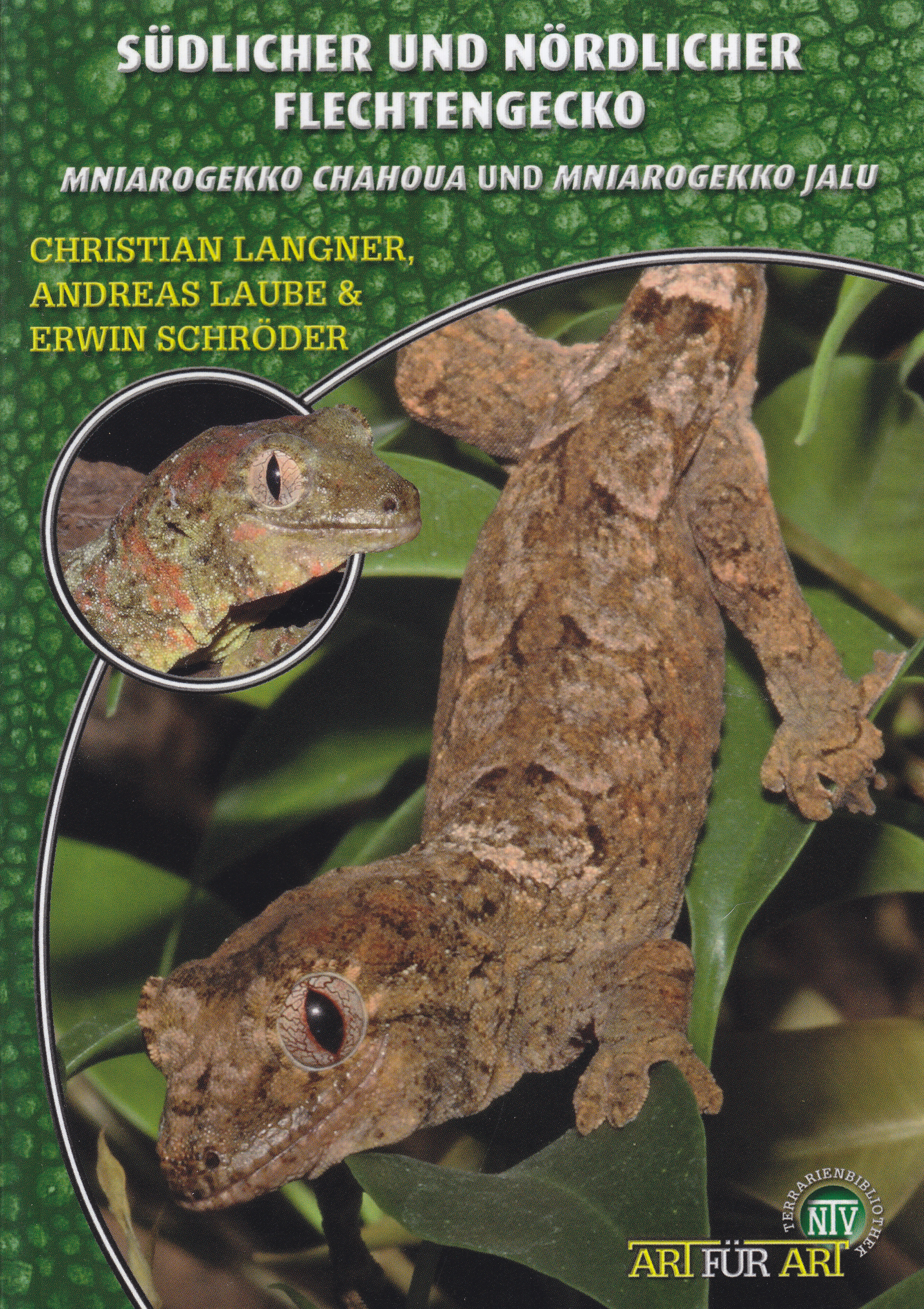 Südlicher und nördlicher Flechtengecko - Mniarogekko chahoua und Mniarogekko jalu (Langner & andere)
