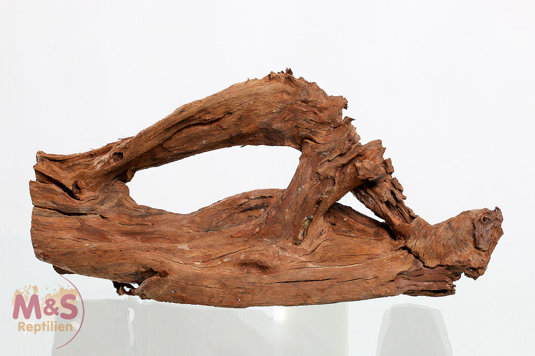 Mangrovenwurzel - Large 50-60cm