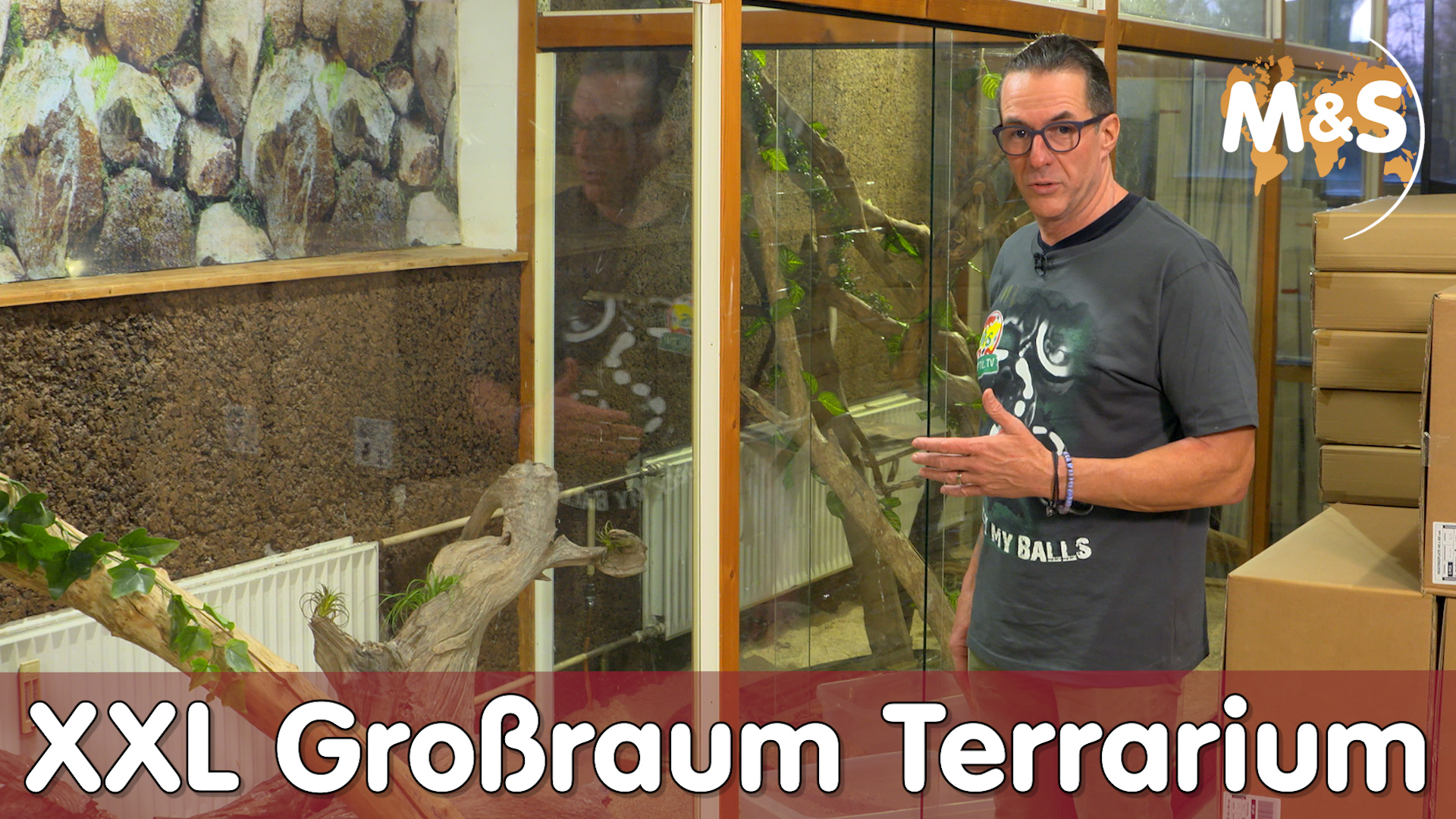 XXL Großraum Terrarium | Terrarien Räume & Zimmer | Reptil TV