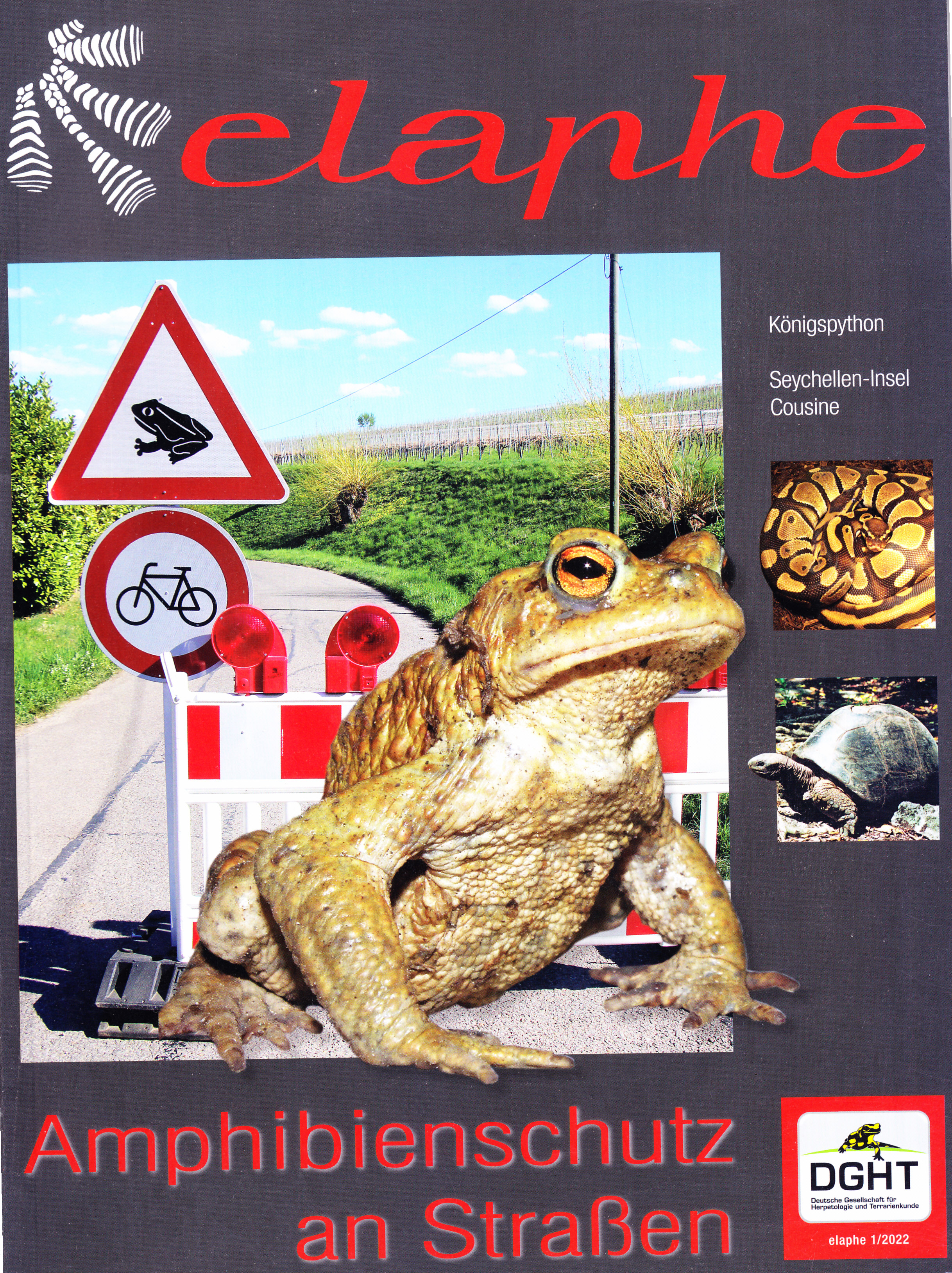 elaphe Fachzeitschrift des DGHT   Heft 1/2026