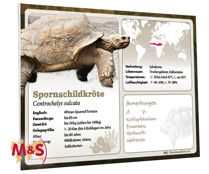 Terrarienschild (Zooschild) Spornschildkröte, Centrochelys sulcata