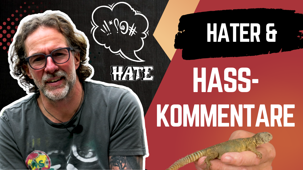 Ich liebe Reptilien - und verkaufe sie. Bin ich deshalb der Böse? Meine ehrliche Meinung!