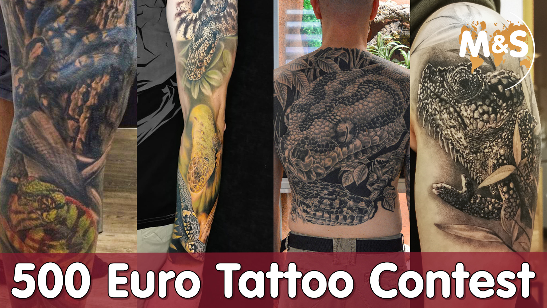 500€ Tattoo Contest | Eure Reptilien Tattoos | Reptil TV