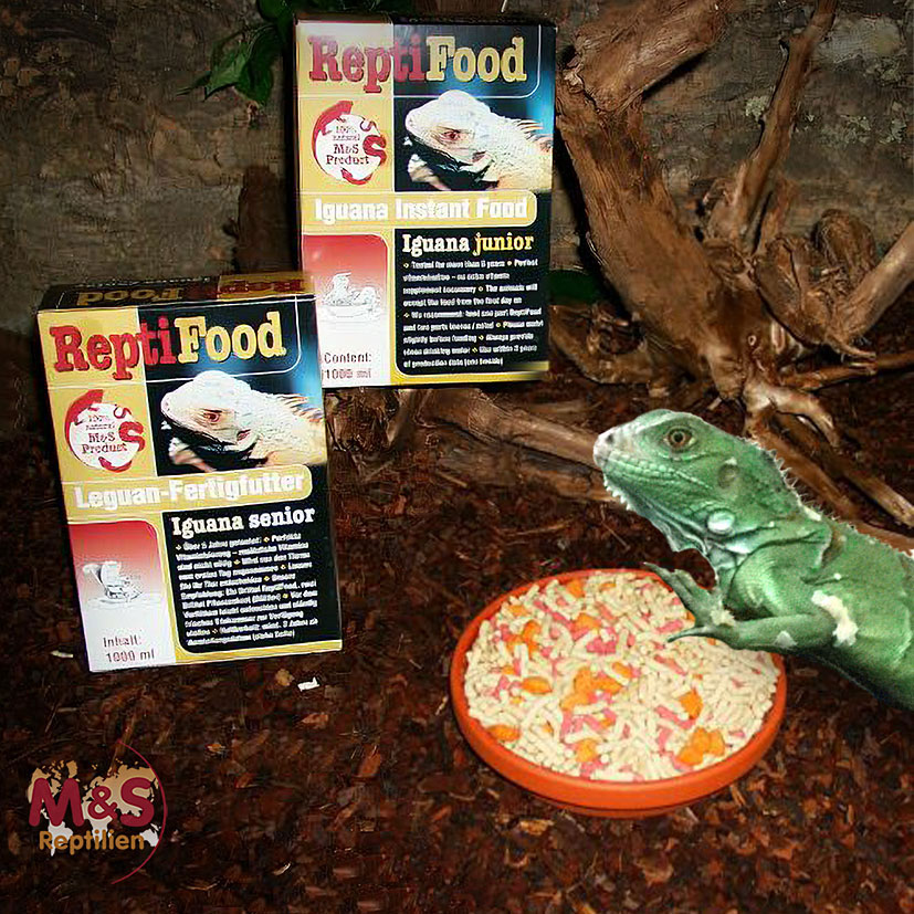 Reptile Food, Iguana Junior (12 Stk. à 2000 ml)