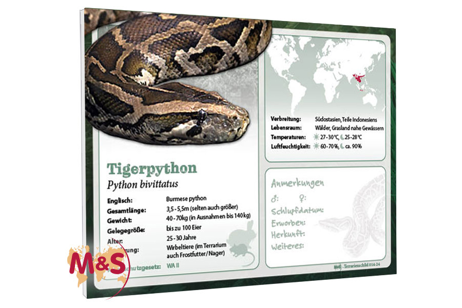 Terrarienschild (Zooschild) Tigerpython, Python bivittatus