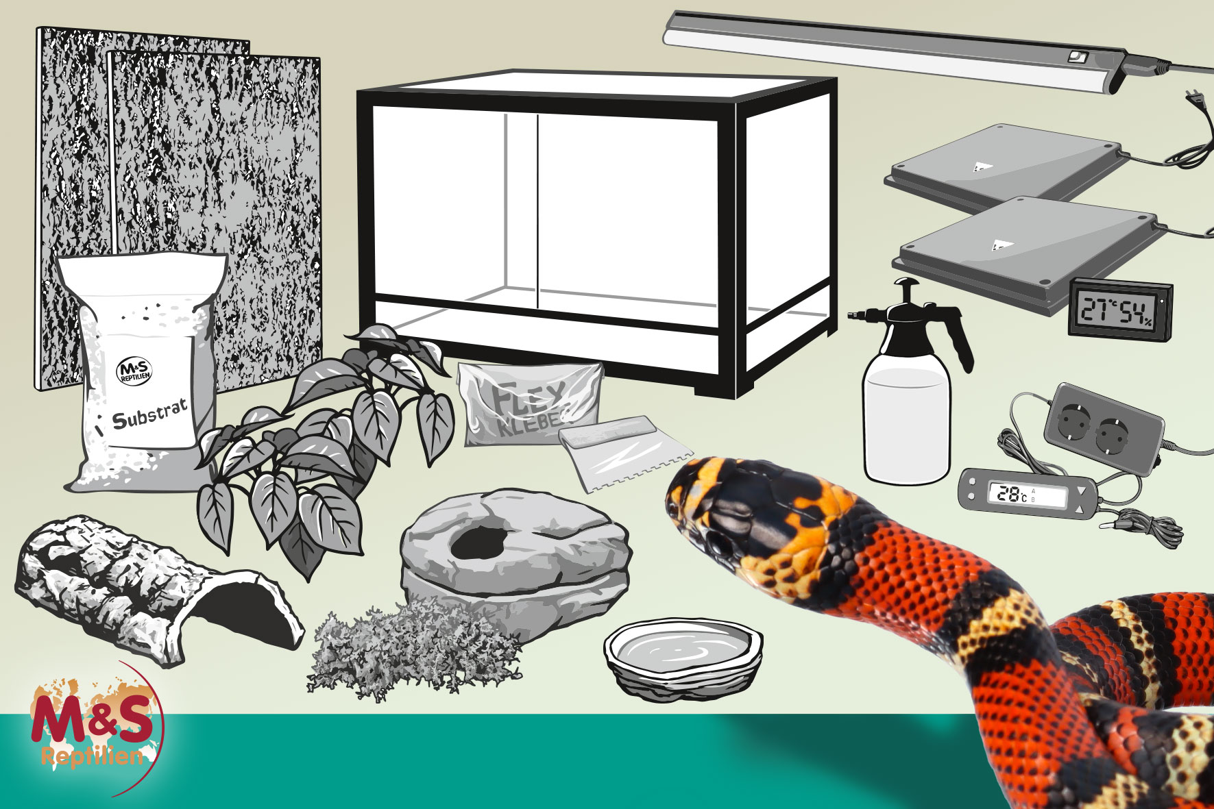 Komplettset: Für Schlangen bis ca. 150 cm (120 cm Länge)