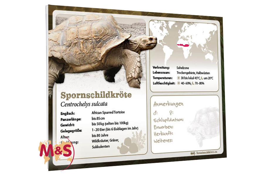 Terrarienschild (Zooschild) Spornschildkröte, Centrochelys sulcata