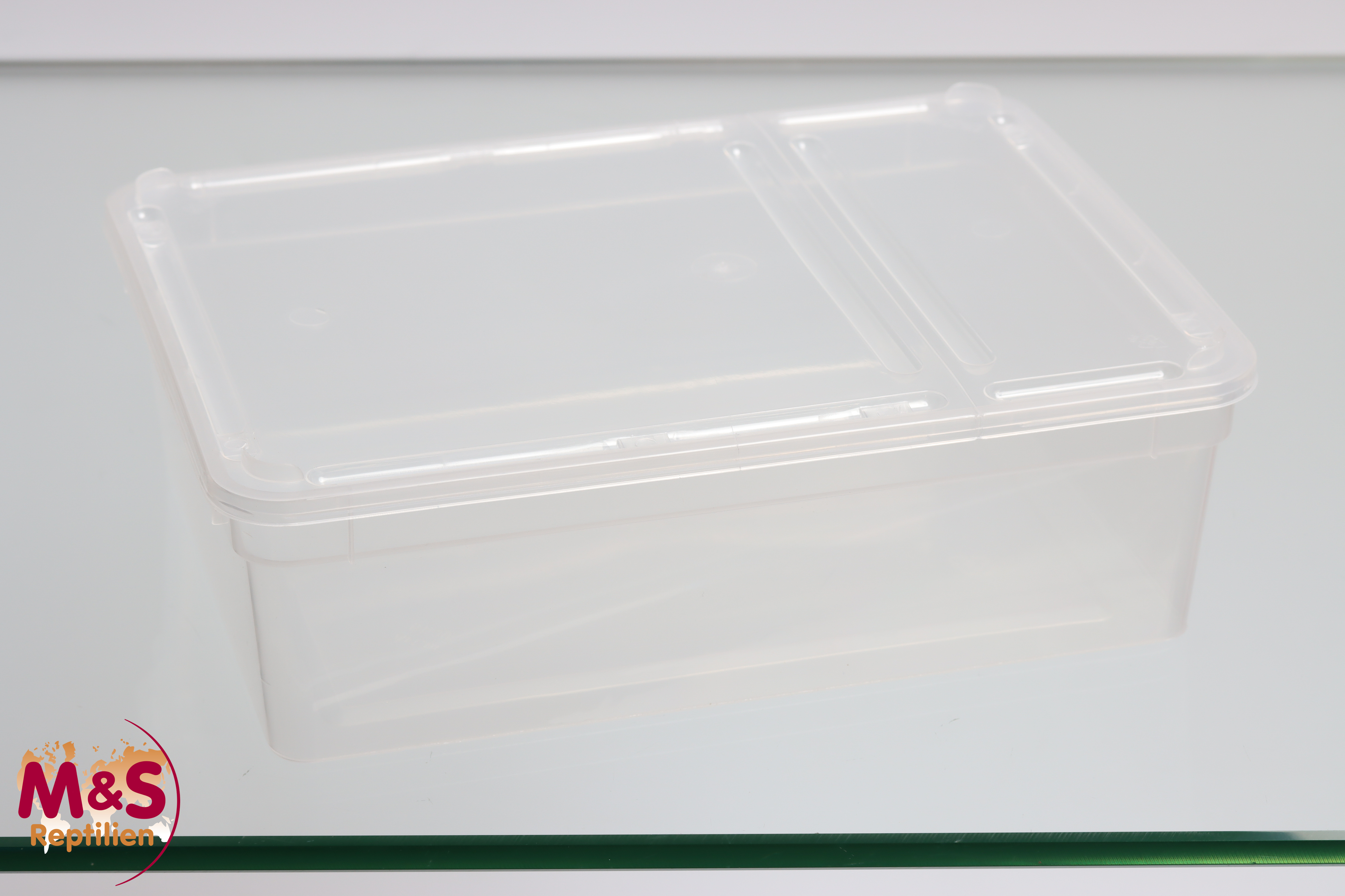 Kunststoffbox transparent, groß (24x18x7,5) inkl. Deckel