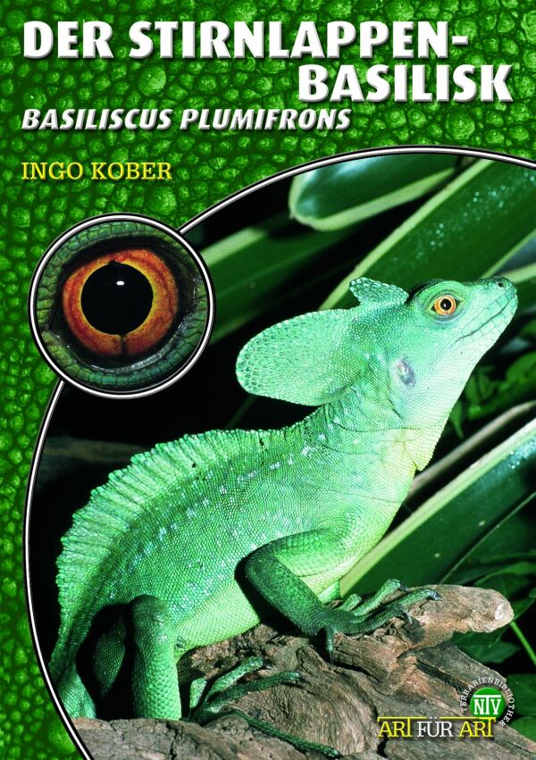 Der Stirnlappen-Basilisk - Basiliscus plumifrons (Ingo Kober)