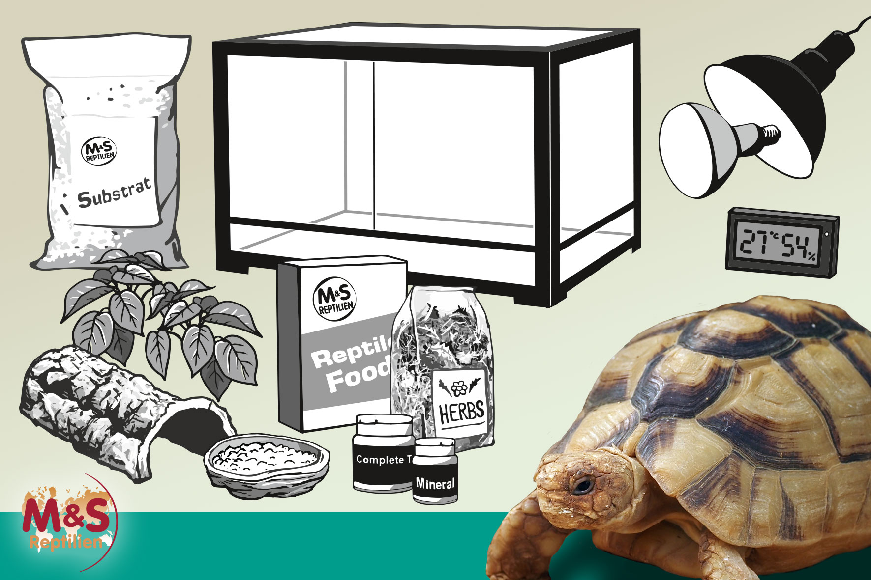 Komplettset: Für mittelgroße Landschildkröten (120 cm Länge)