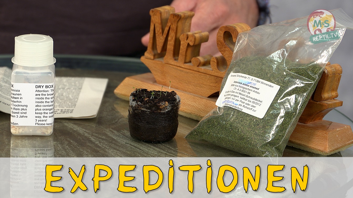 Folge 85 - Reptilien Expeditionen