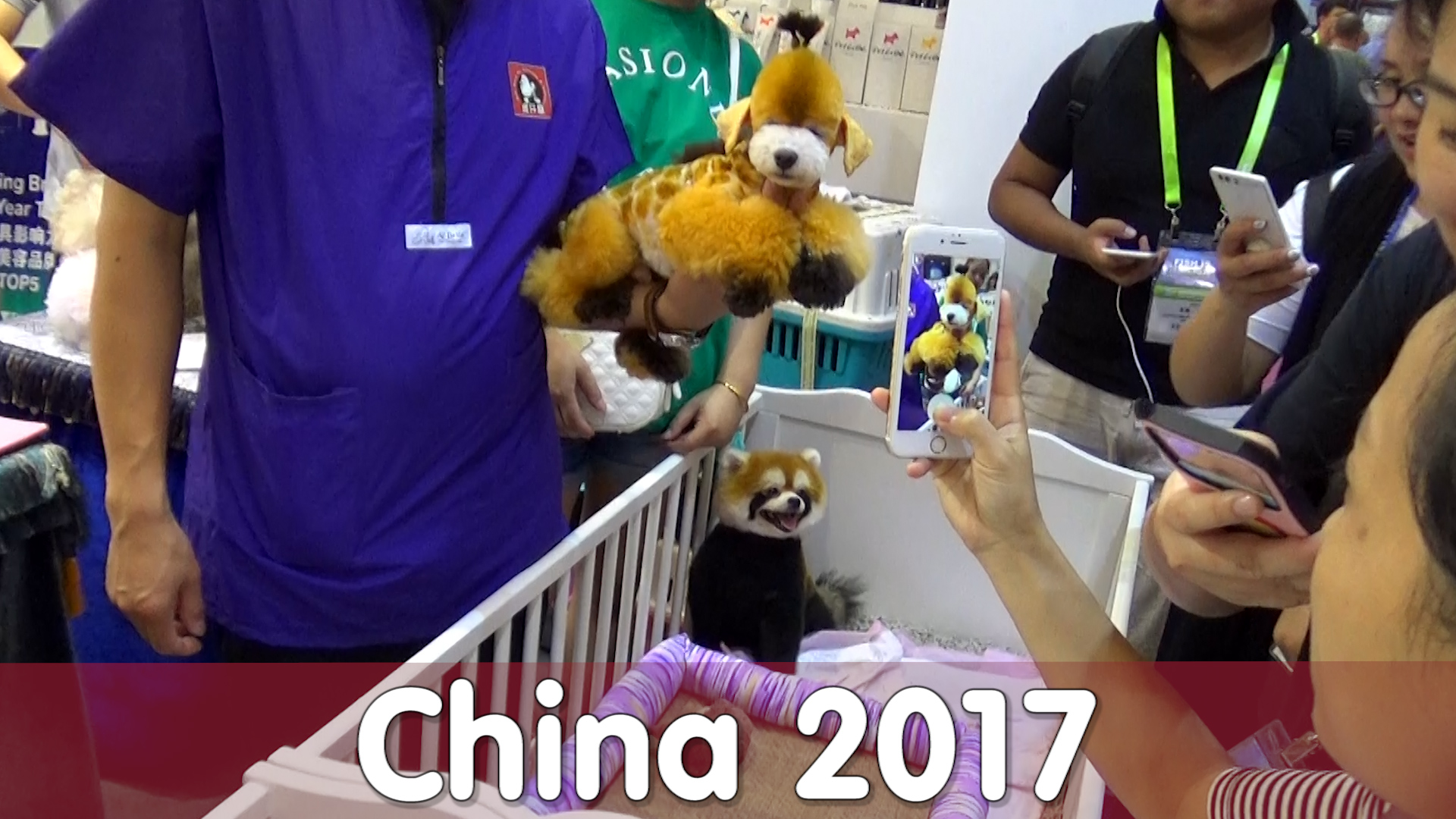 Folge 107 - China 2017