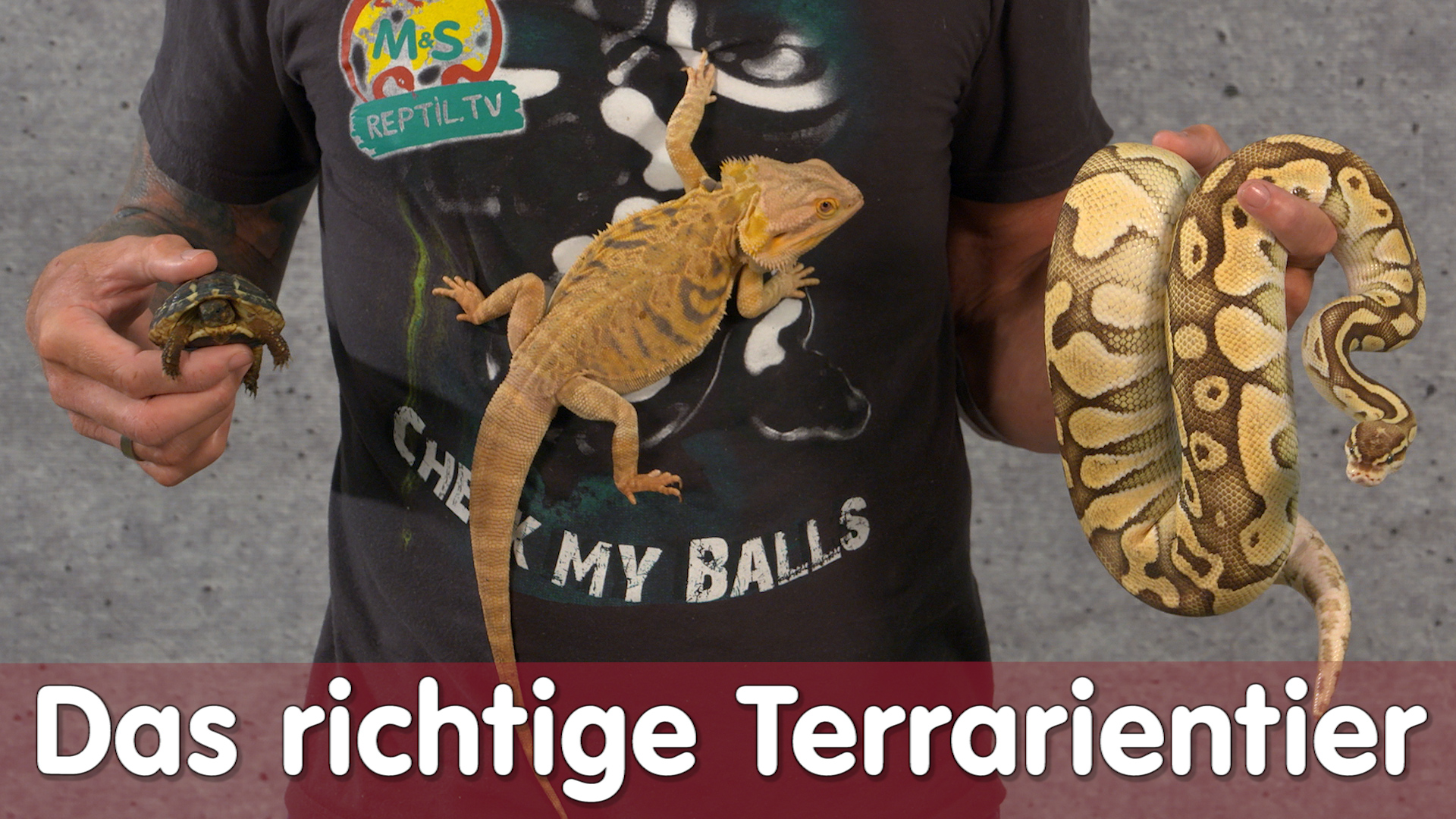Folge 106 - Das richtige Terrarientier