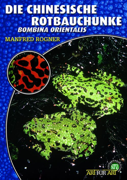 Die Chinesische Rotbauchunke - Bombina orientalis (Manfred Rogner)