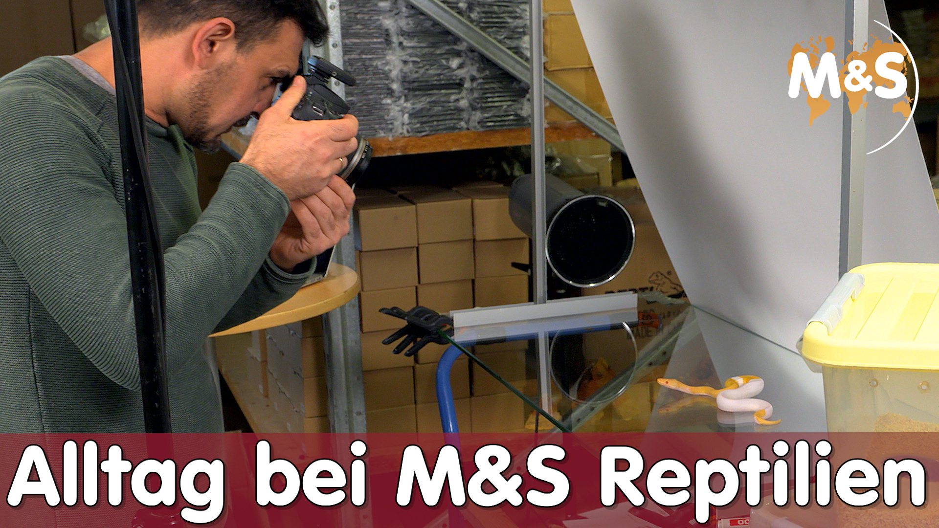 Alltag bei M&S Reptilien | Tiere & Webshop | Reptil TV