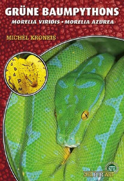 Der Grüne Baumpython - Morelia viridis, Morelia azurea (Michel Kroneis)