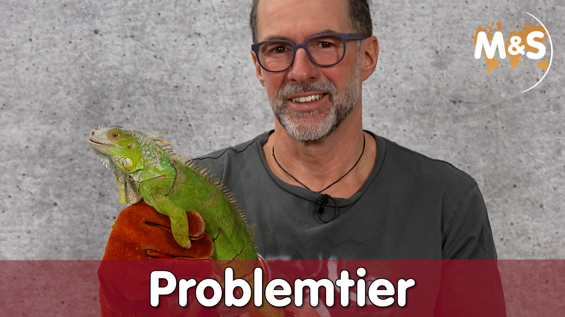 Hilfe mit Problemtieren | Reptilien ABC