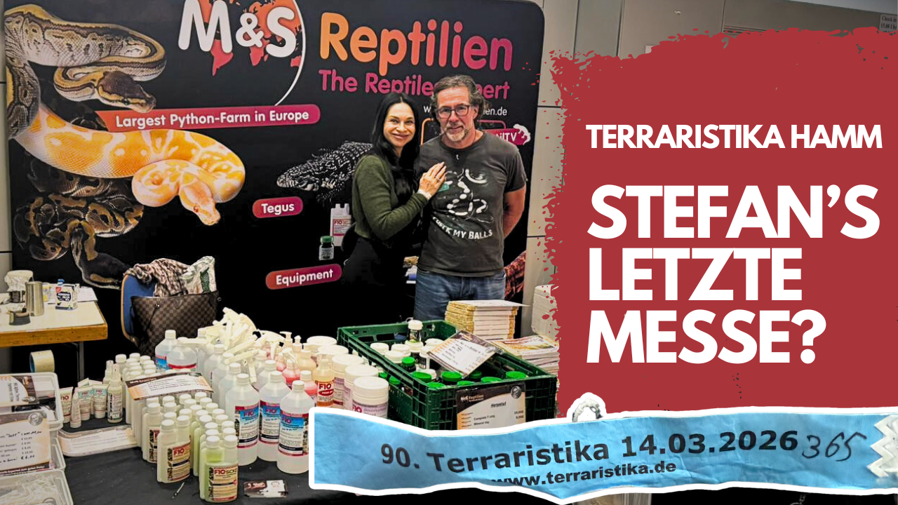 87× Terraristika Hamm – höre ich jetzt auf?