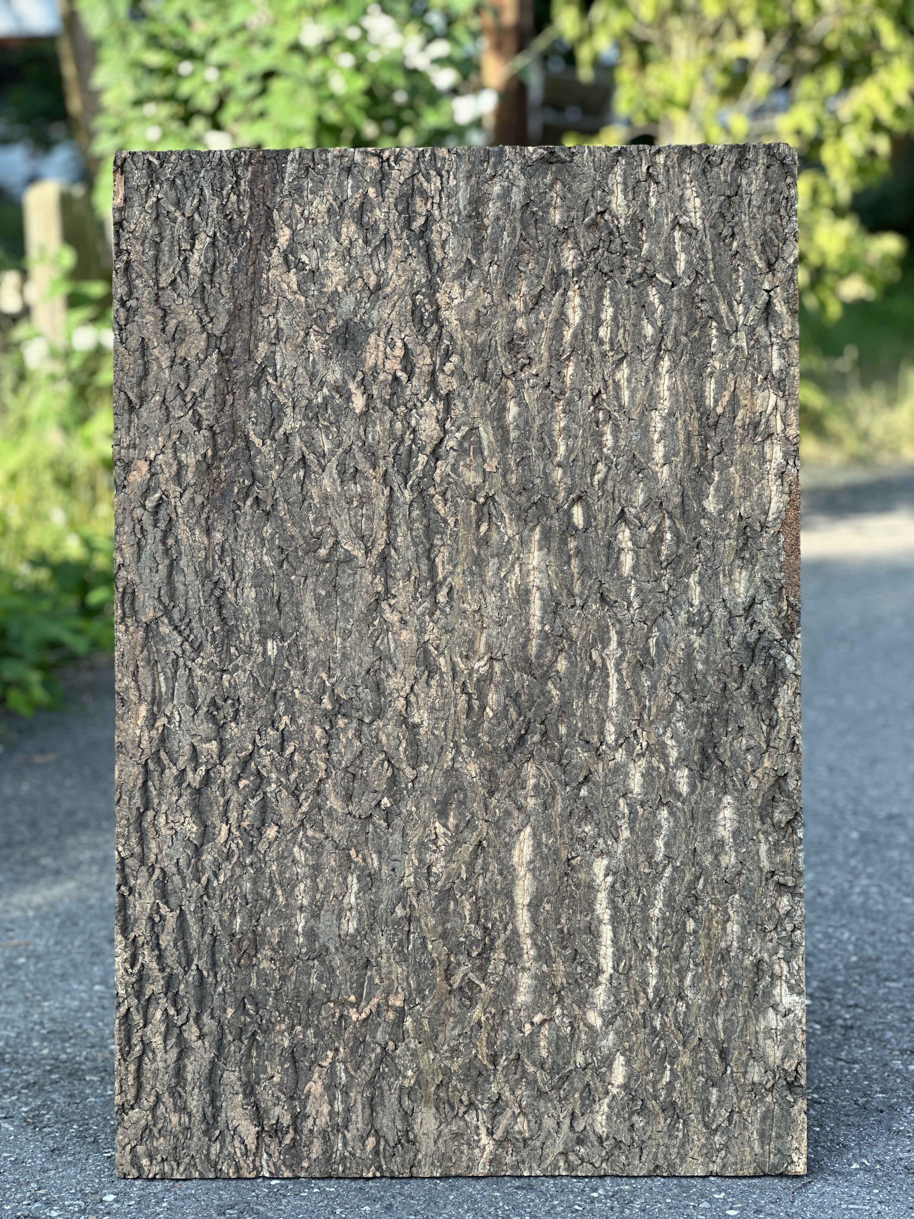 Zierkorkrückwand "Nature" Plattengröße 90 x 60 x 2cm (DPCT062)