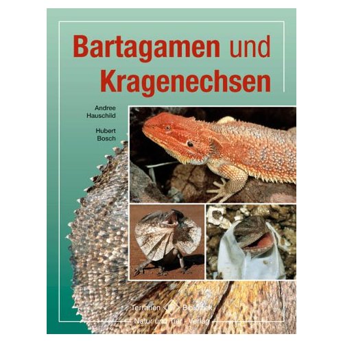 antiquarischer Restposten: Bartagamen und Kragenechsen (Andree Hausschild & Hubert Bosch)