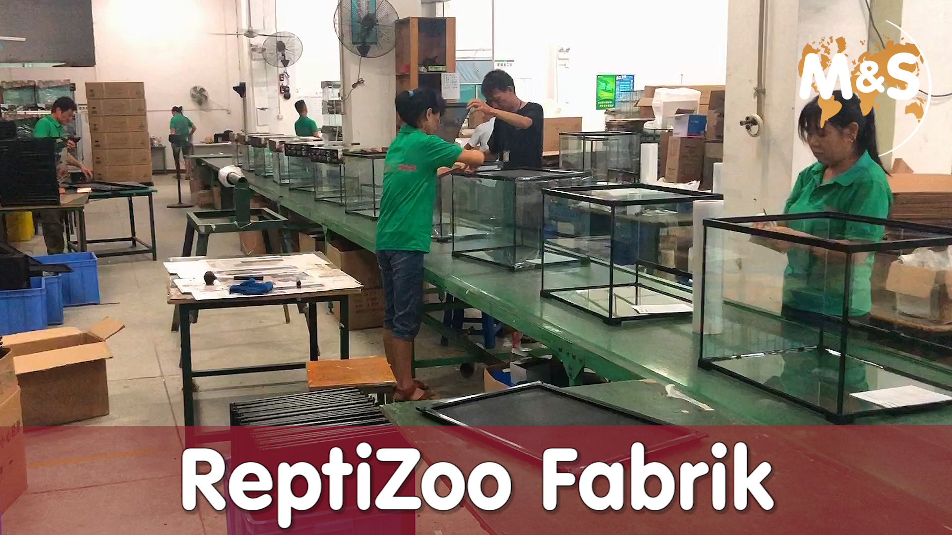 Made in China/ ReptiZoo Fabrik Kontrolle  / Reptil TV