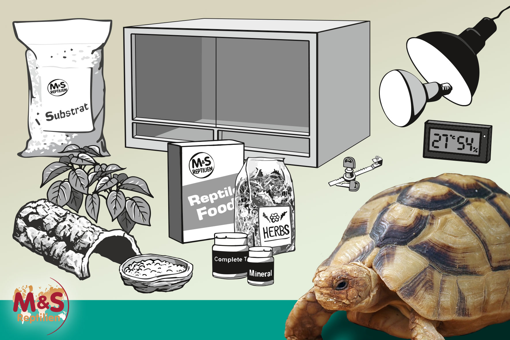 Komplettset: Für mittelgroße Landschildkröten (120 cm Länge)