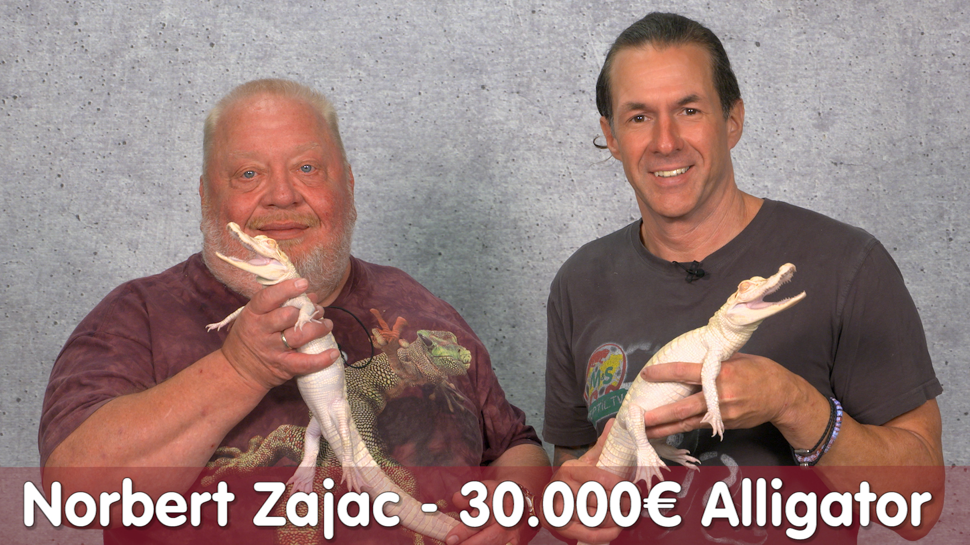 Reptil TV Basic : Kauft Norbert Zajac den 30.000€ Alligator?