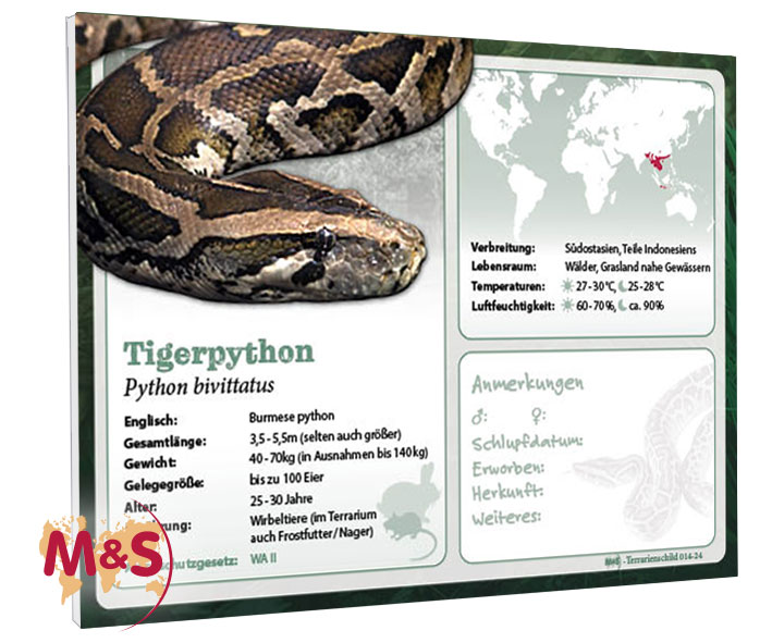Terrarienschild (Zooschild) Tigerpython, Python bivittatus