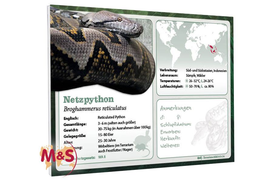 Terrarienschild (Zooschild) Netzpython, Broghammerus reticulatus