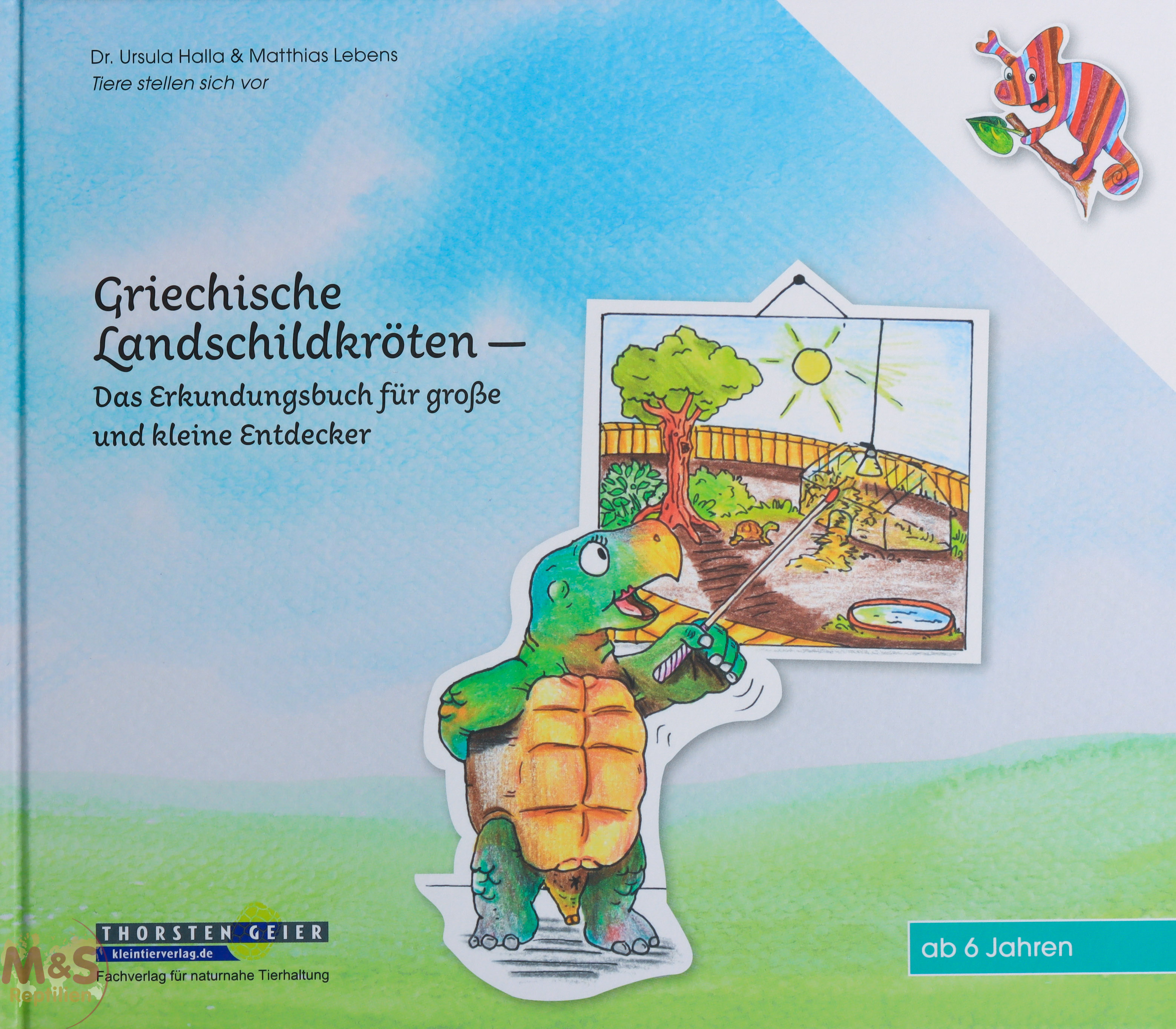 Griechische Landschilkröten: Das Erkundungsbuch für große und kleine Entdecker (Halla & andere)