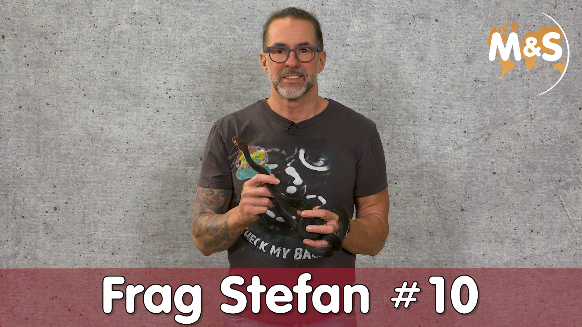 Frag Stefan #10 | Verkrüppelte Schlangen wegen Filzstift? | Reptil TV
