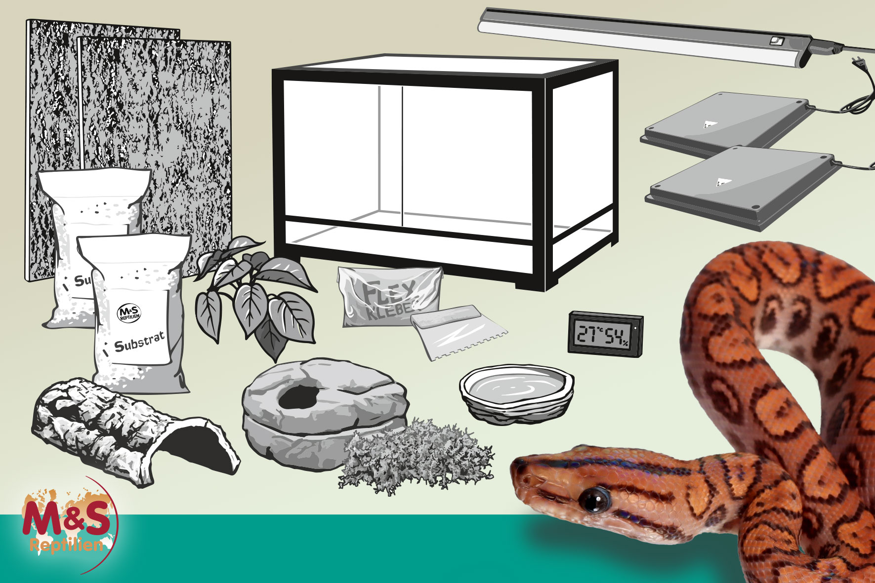 Komplettset: Für kleinere Boas und Pythons (120 cm Länge)