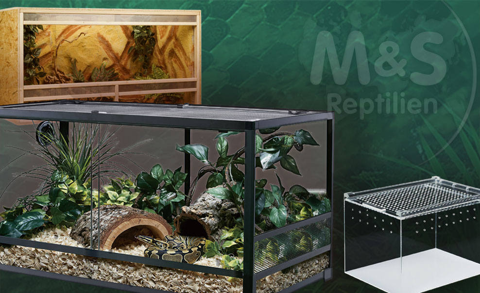 Terrarien & Behälter