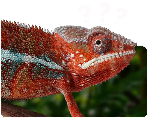 Häufige Fragen – FAQs