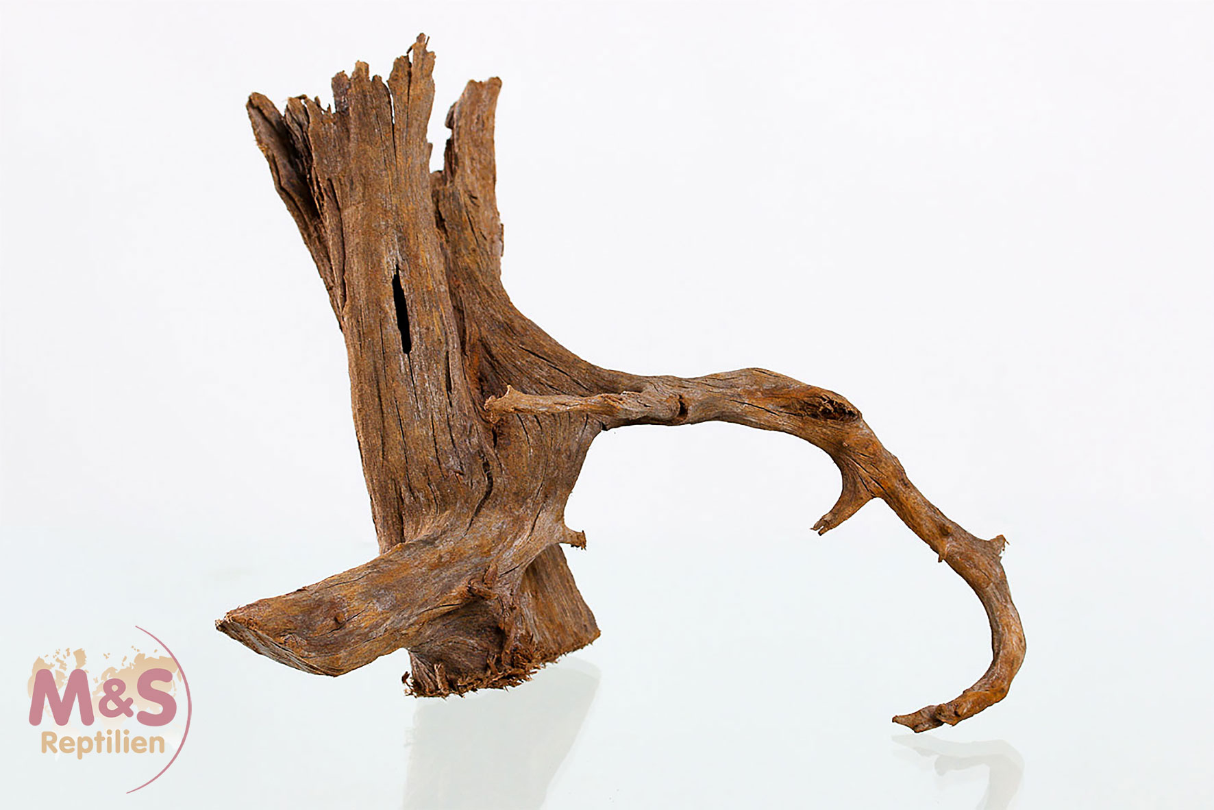 Mangrovenwurzel - medium/Large 40-50cm