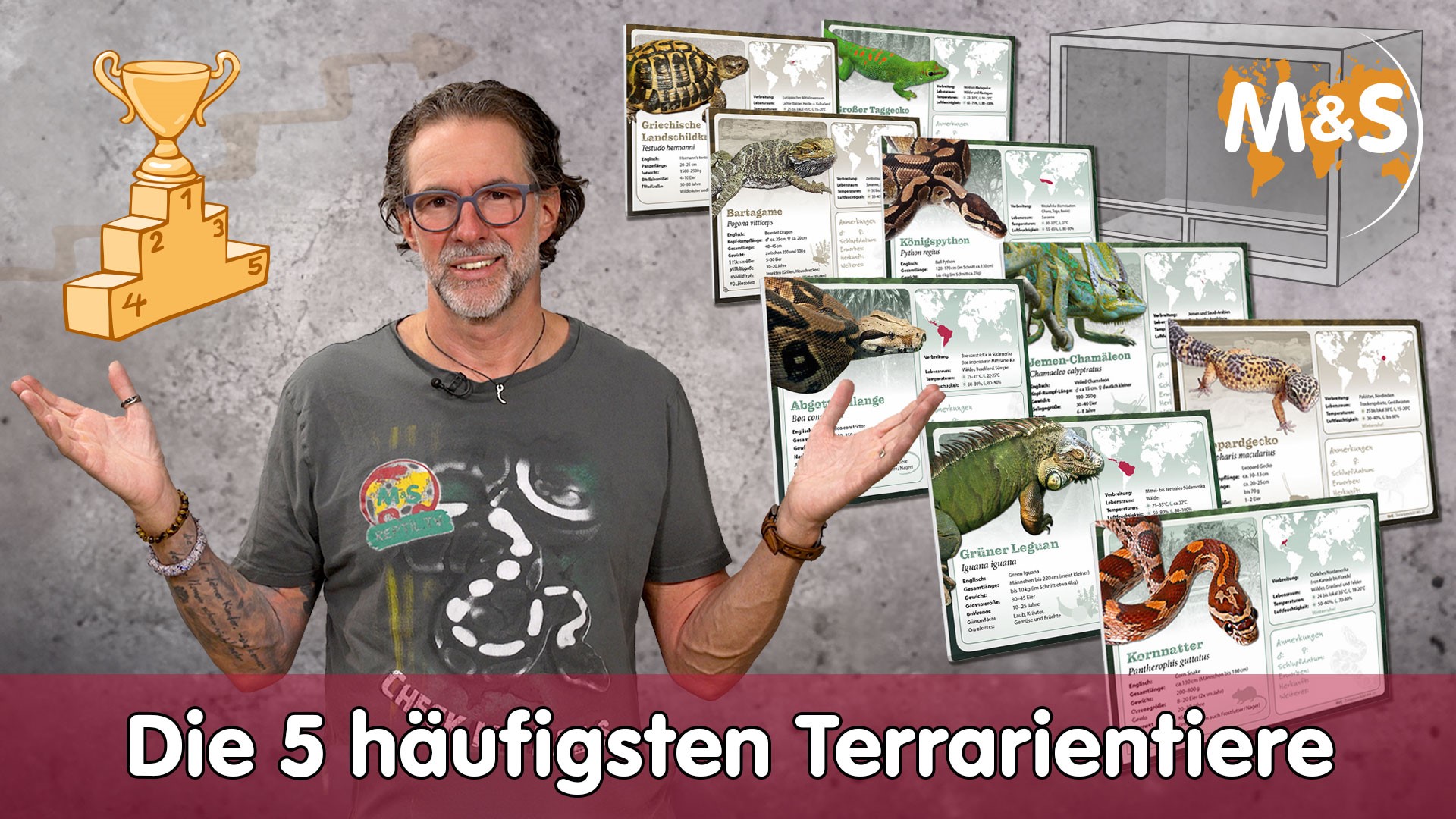 Die 5 häufigsten Terrarientiere