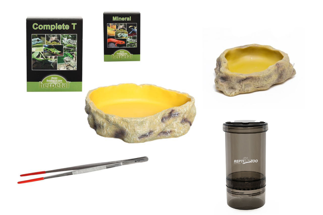LEOPARDGECKO Ernährungsset inkl. Vitaminpräparate und Zubehör