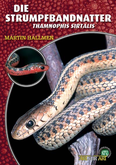 Die Strumpfbandnatter - Thamnophis sirtalis (Martin Hallmen)