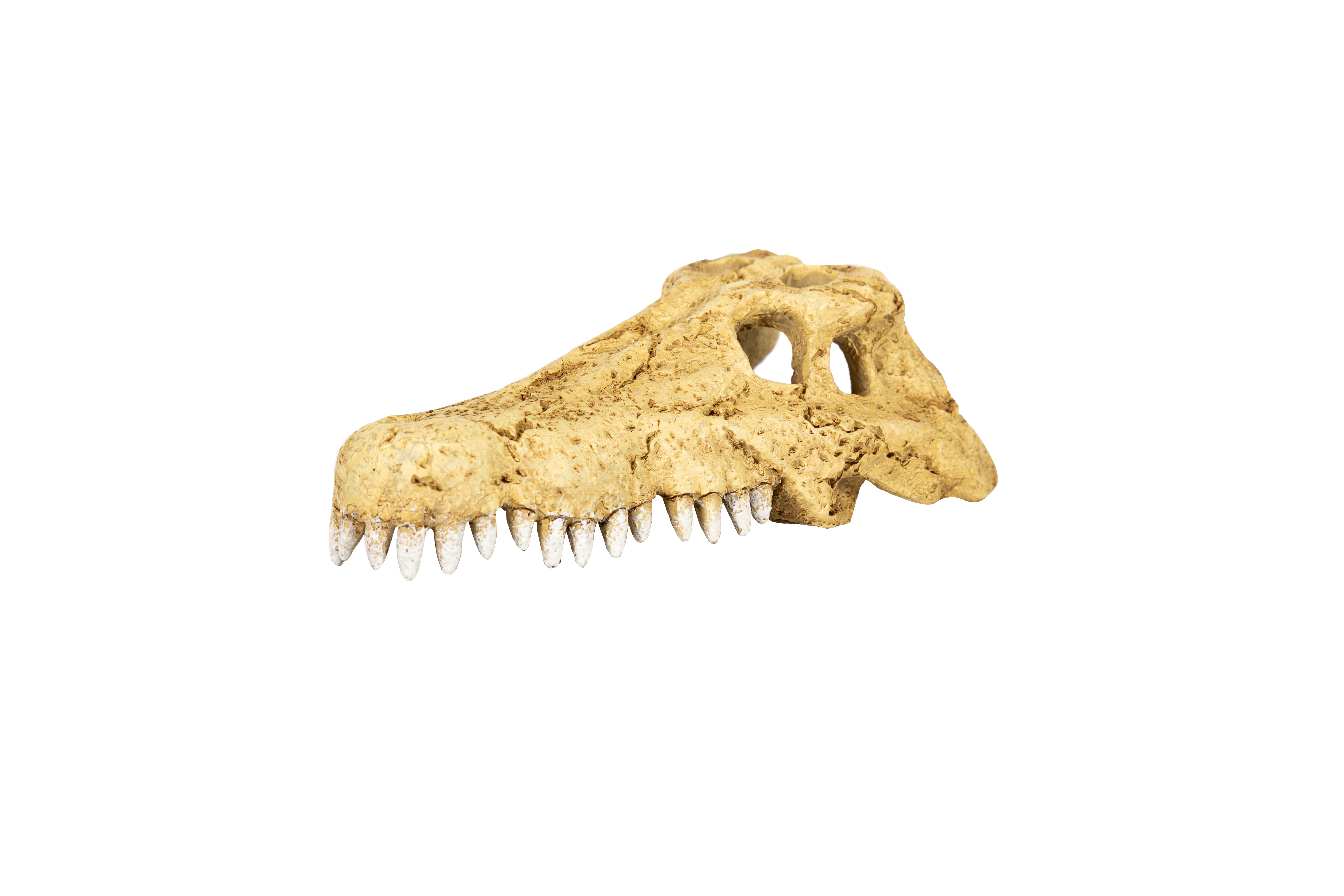 ReptiZoo Krokodilschädel (Crocodile Skull Hide Cave)  (ERS34)