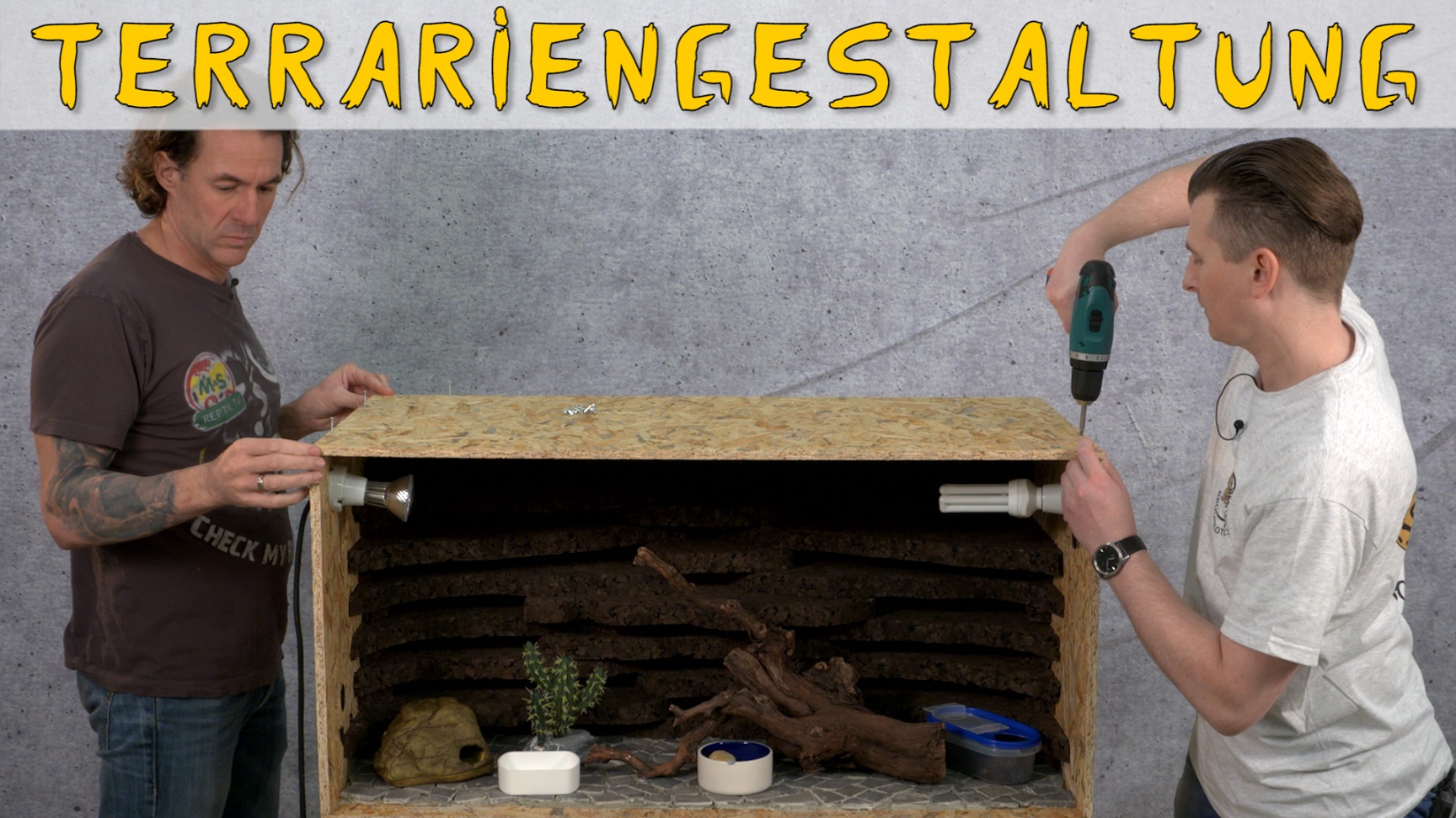 Folge 86 - Naturhafte Terrariengestaltung