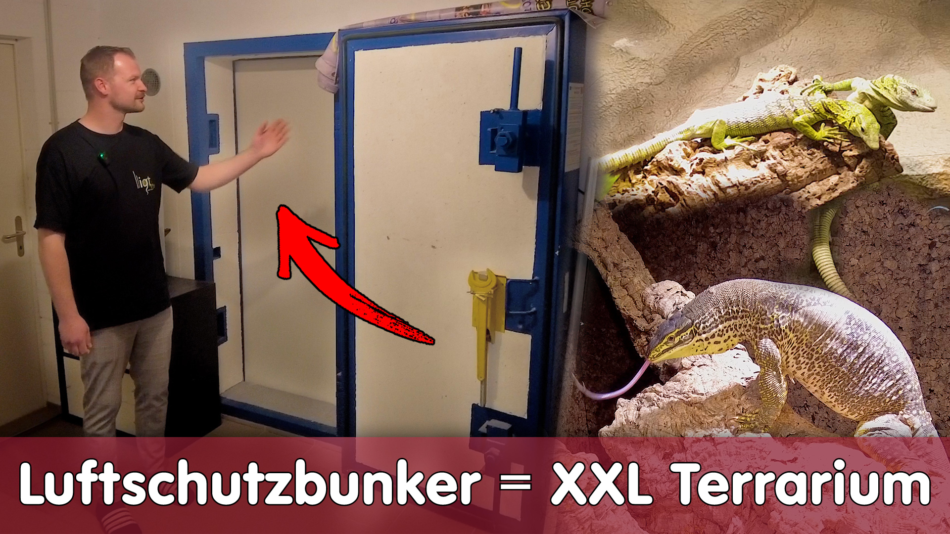 Luftschutzbunker als XXL Terrarium | Homestory Pascal