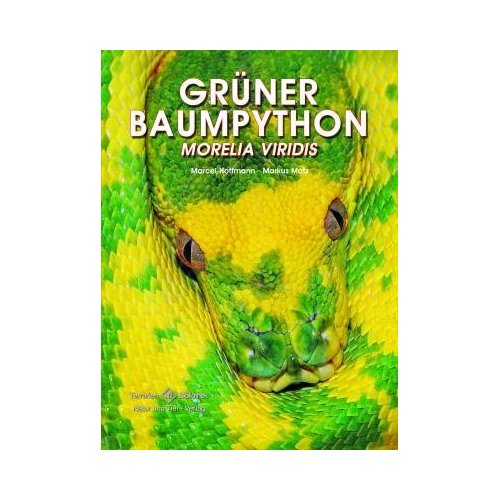 Grüner Baumpython - Morelia viridis (Marcel Hoffmann & Markus Motz)