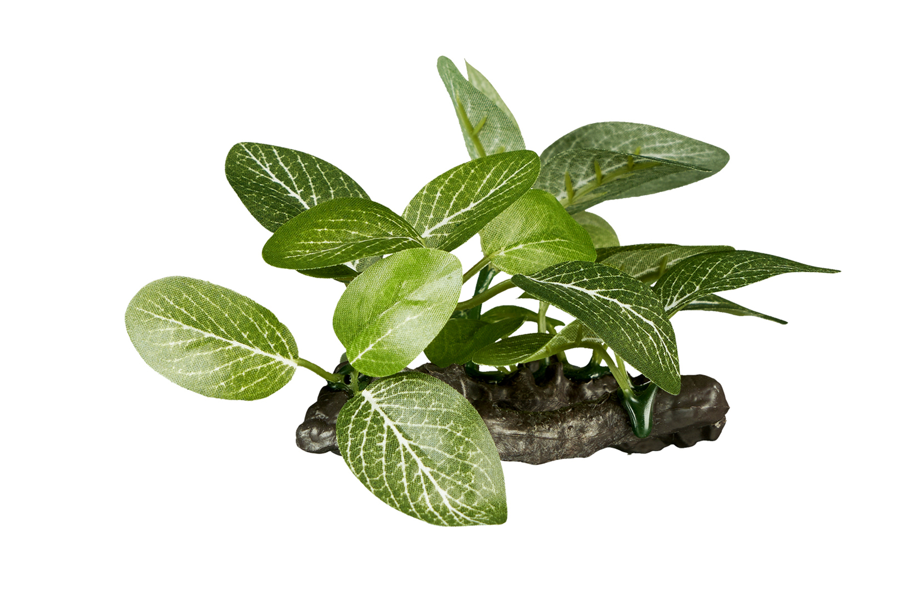 ReptiZoo Kunststoffpflanze "Helenia elliptica" – Terrariendekoration  (ca. 9 cm) – TP072