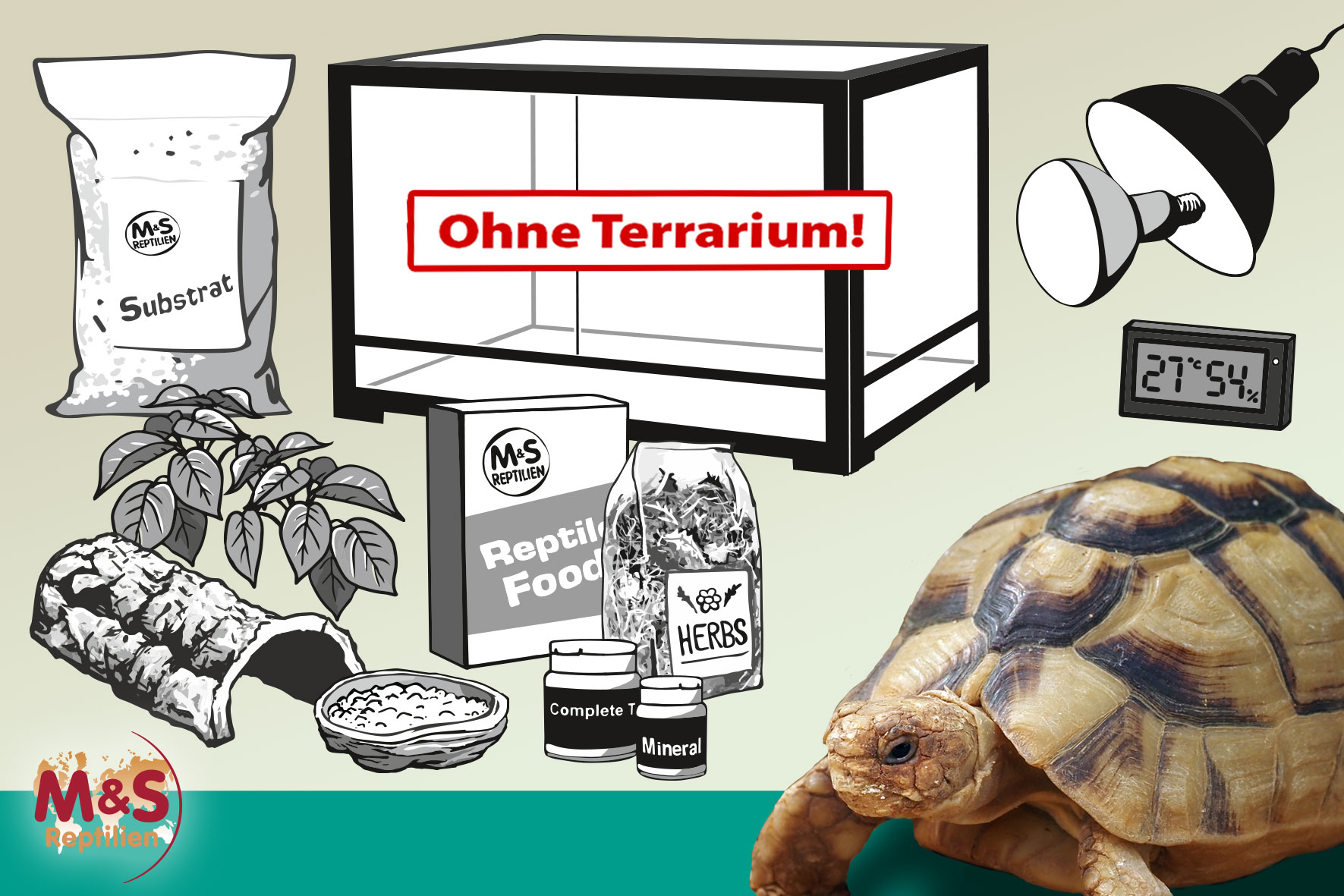 Komplettset: Für kleine Landschildkröten (ca. 100 cm Länge)