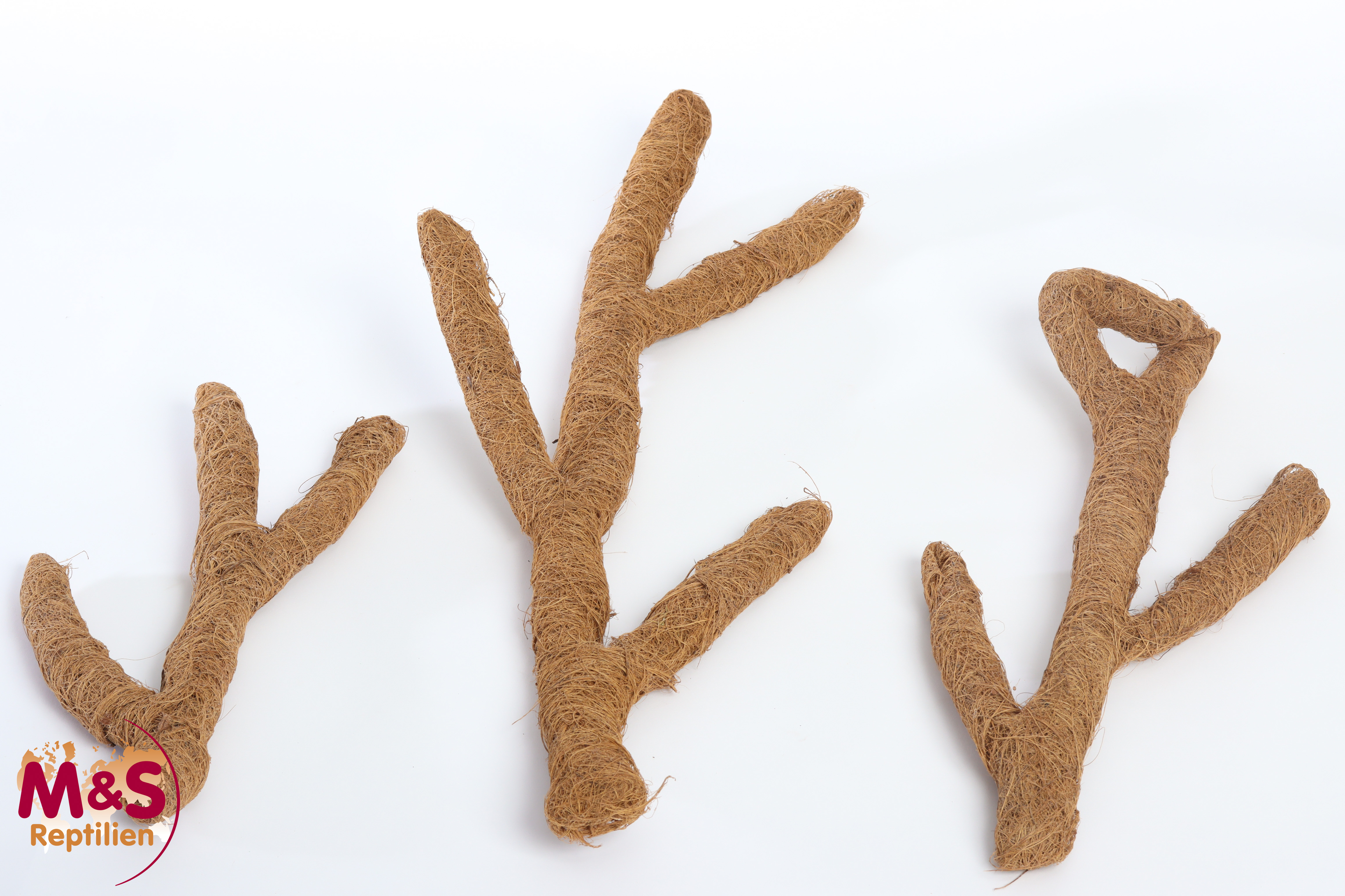 Tronchos "Kokos"