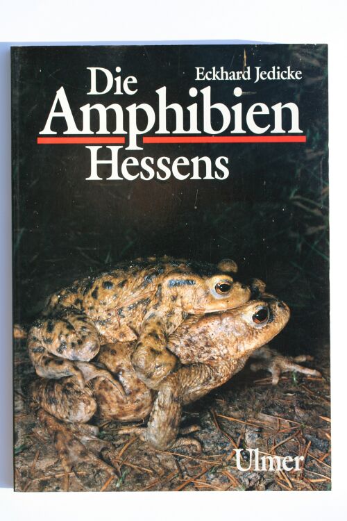 antiquarischer Restposten: Amphibien Hessens (Eckhardt Jedicke)